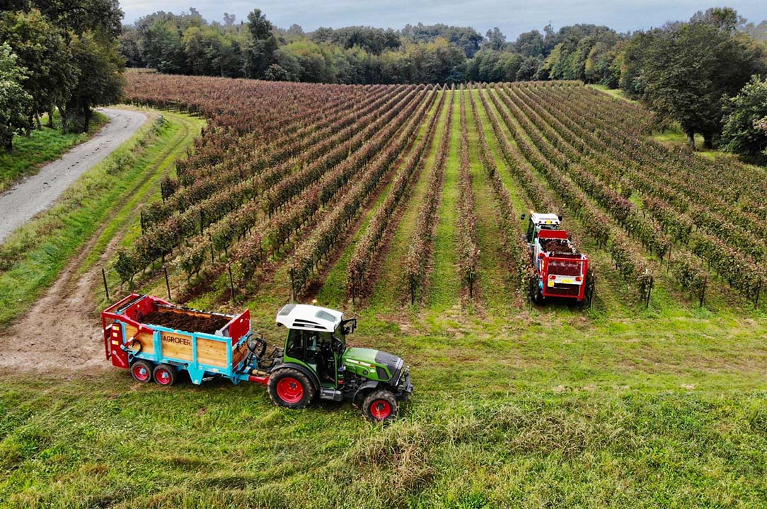 Trattori da vigneto e frutteto nuovi.