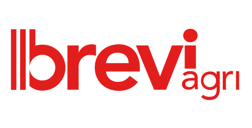 brevi